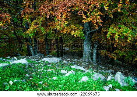 Season theme: an image of nice autumn park