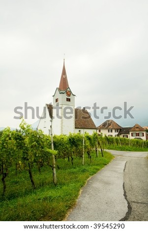 An image of vine and chapel with clock