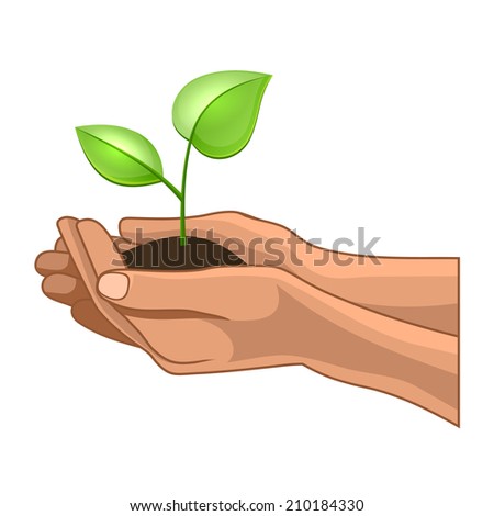 Hands and Plant on White Background.  Illustration