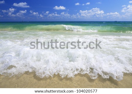 sea wave on the beach