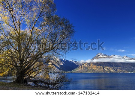 view of Lake Wakatipu, Glenorchy Queenstown Road, South Island, New Zealand