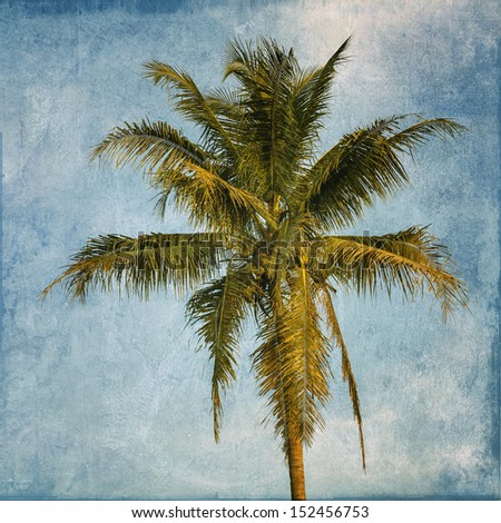 Vintage palm tree in the blue sky