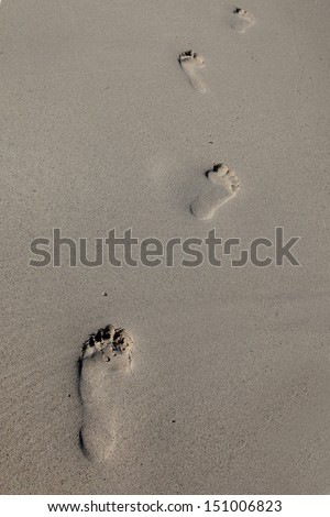 Footprints in the sand.  Person walking along the shoreline of the South Coast of South Africa, leaving only footprints behind.