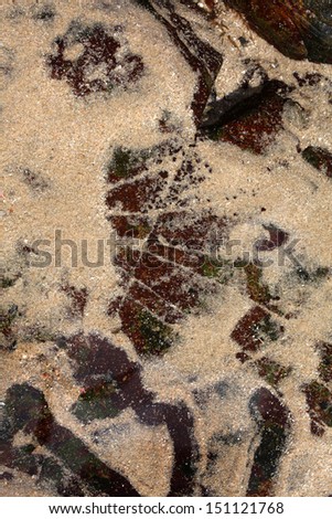 Abstract background.  Patterns on the rocks in a tidal pool.