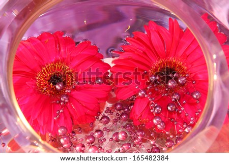 Red daisies in a glass bowl, floating in water, decorated with beads