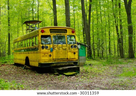 School Bus House in forest