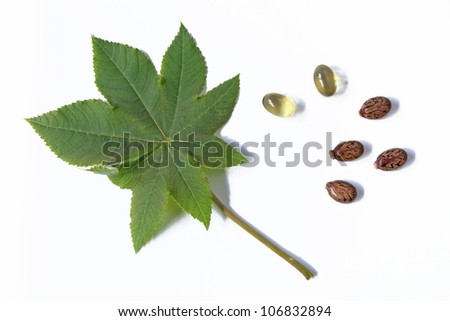 Castor Leaf