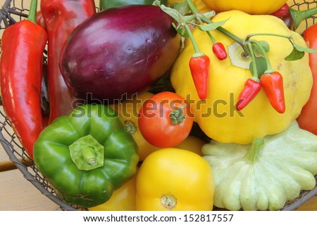 freshly picked Mediterranean vegetables in a wire basket