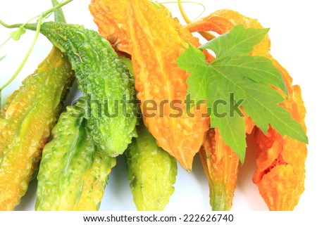 Bitter melon also called balsam pear, bitter gourd, bitter squash, Goya or karavella (Momordica charantia), unripe and ripe fruits isolated before white background