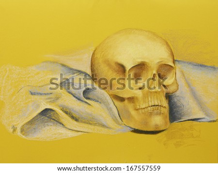 hand drawn illustration of a artistic study with human skull and folded fabric on yellow background