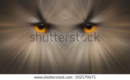 An abstract wall art image based on the eyes of the European Eagle Owl. As a prey item this might well be the last vision you ever see.