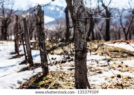 rusty barbed wire in a snowy countryside