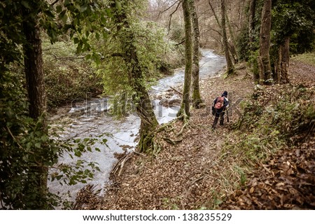 a hiker walking on the side of a small river in a forest