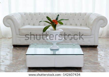 a beautiful potted plant with orange flowers on a minimal table and a white and cozy sofa