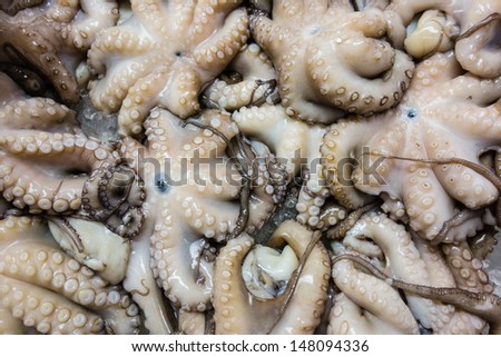 close up shot of some mediterranean edible octopusses in a fishmonger\'s stall