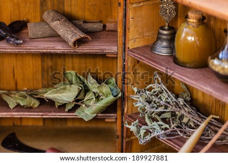 cinnamon bark and other spices displayed on wooden shelves