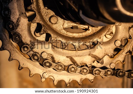macro shot of a bycicle rusty cog wheel illuminated from a warm light
