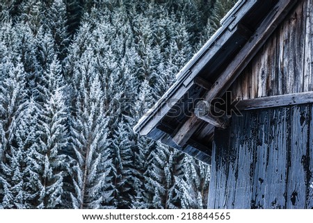 detail of a remote and isolated frozen cabin in the woods during winter