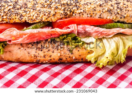 close up detail of a delicious salami sub sandwich over a classic red and white tablecloth