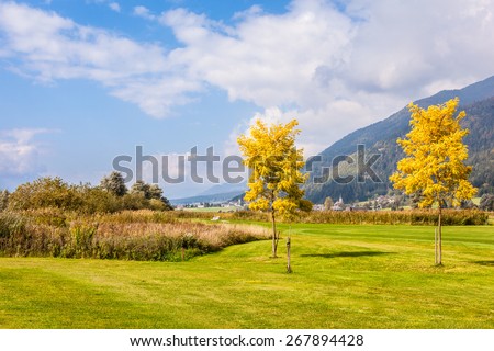 trees on a beautiful meadow or golf course on a sunny day