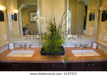 Two modern sinks with exotic plants.