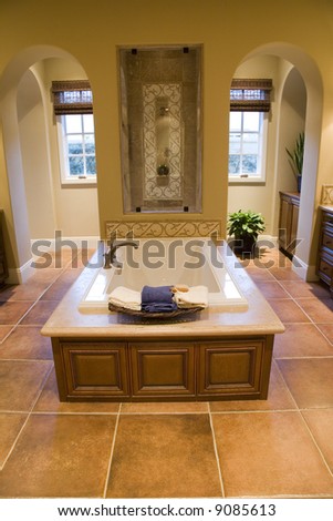 Luxury home bathroom with a spacious tub and shower.