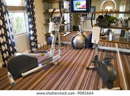 Luxury home gym with exercise equipment.