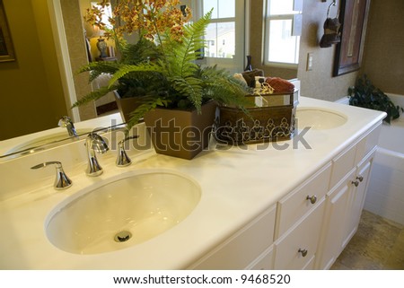 Two modern sinks with exotic plants.