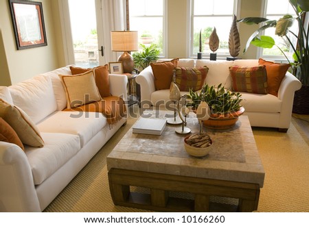 home decorating living rooms on Luxury Home Living Room With Contemporary Decor  Stock Photo 10166260