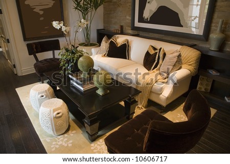 Home Decorating on Luxury Home Living Room With Contemporary Decor  Stock Photo 10606717