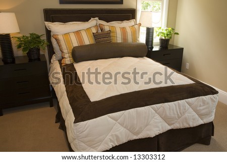 Luxury bedroom and contemporary decor.