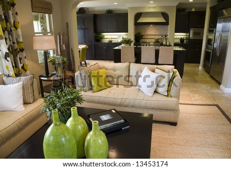 Luxury home living room with contemporary decor.
