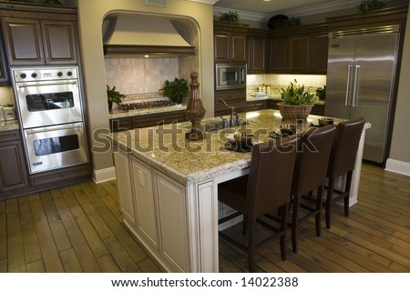 Modern luxury home kitchen.