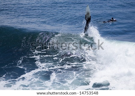 Surfer bailing out and hanging on to his board in Santa Cruz, California.
