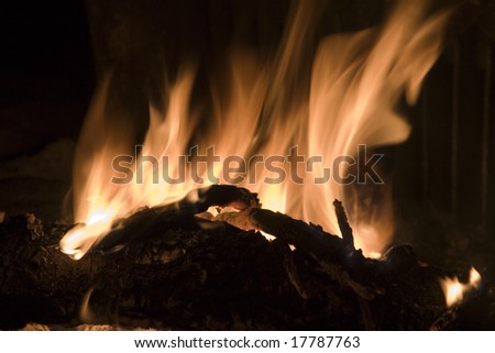 Campfire flames with a dark background.