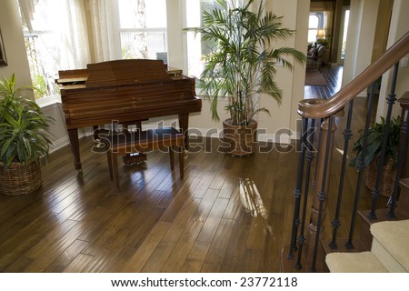 Grand piano and hardwood floor.