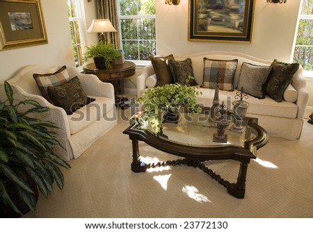 Luxury Home Design on Luxury Home Living Room With Contemporary Decor  Stock Photo 23772130