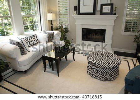 Living Room on Luxury Home Living Room With A Fireplace And Stylish Decor    Stock