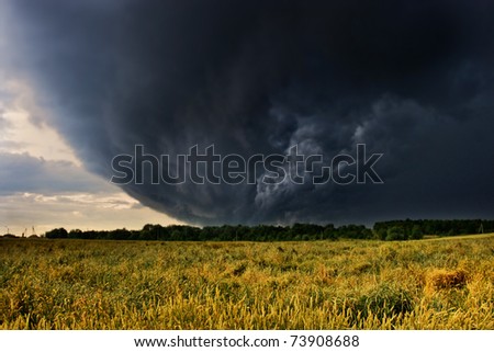 wheat bending under thunderstorm