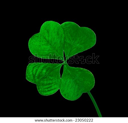 Four leaf clover on black background