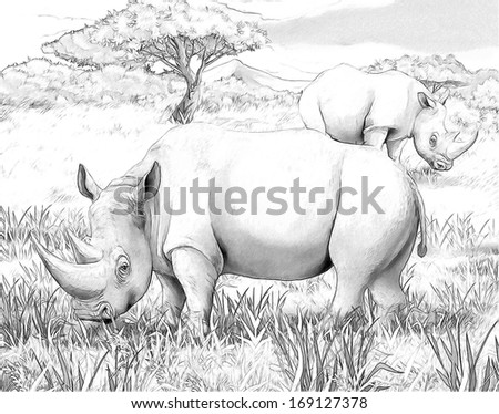 Safari - Rhino - Coloring Page - Illustration For The Children