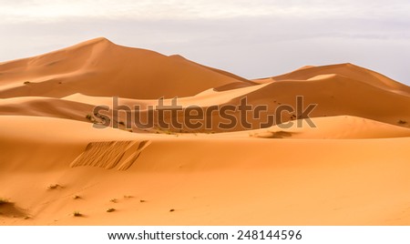 Erg Chebbi sand dunes of the Moroccan desert