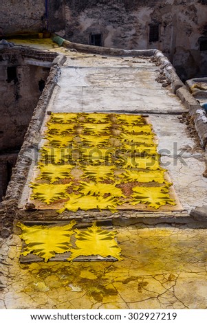 Yellow leather hides in one of the tanneries of Fez, Morocco