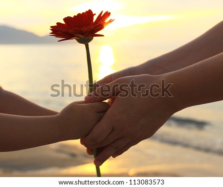 Child\'s delivering a flower (daisy) to an important person during a special moment.