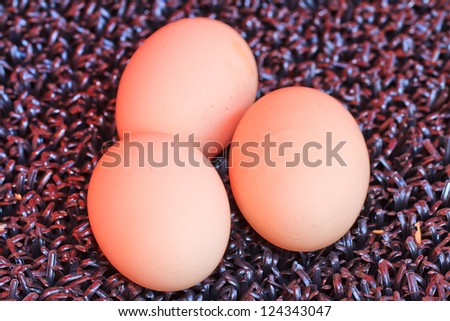 Macro shoot of brown egg at black turf in chicken farm