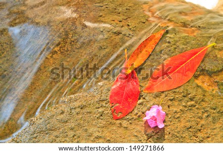 Jetsawnoy Waterfall and red leaf on stone, saraburi, Thailand