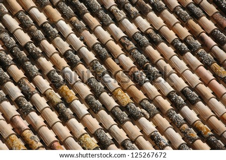 Mixed tiled shelter of european house