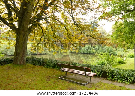 landscape view of relaxing place next to lake