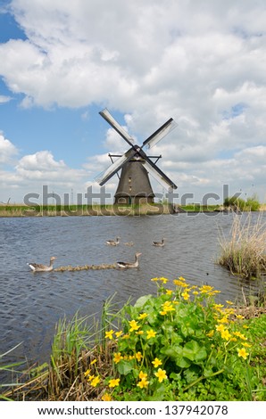 Windmills look out over the reedlands and canals in Kinderdijk in the Netherlands