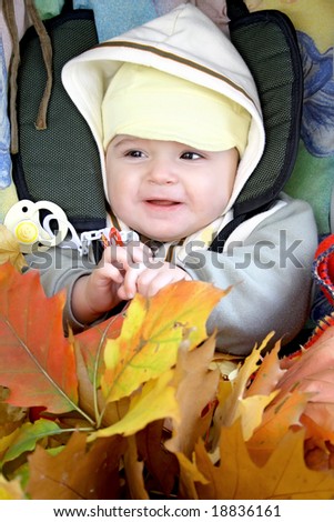 Pretty baby in baby carriage with fall leafs.